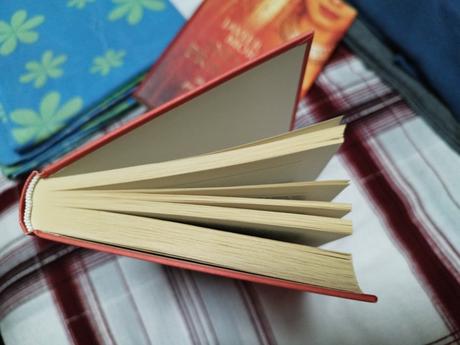 Kniha indicka princezna, 