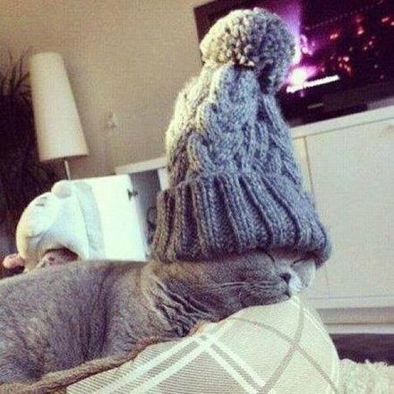 Čiapočka s brmbolcom, 50 - 158