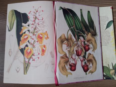 Elizabeth gilbert - podstata všetkých vecí, 