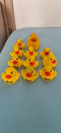 Gumové zvieratká nielen do vody,