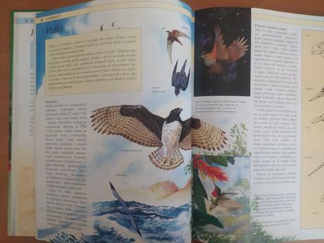 Stručná detská encyklopédia prírody (1992), 