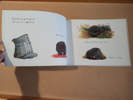 Jackie french - diary of a wombat,