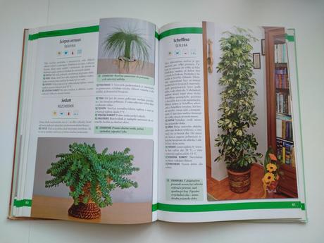 Pestujeme izbové rastliny, 