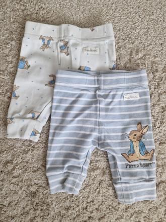 Peter rabbit sinsay, sinsay,56