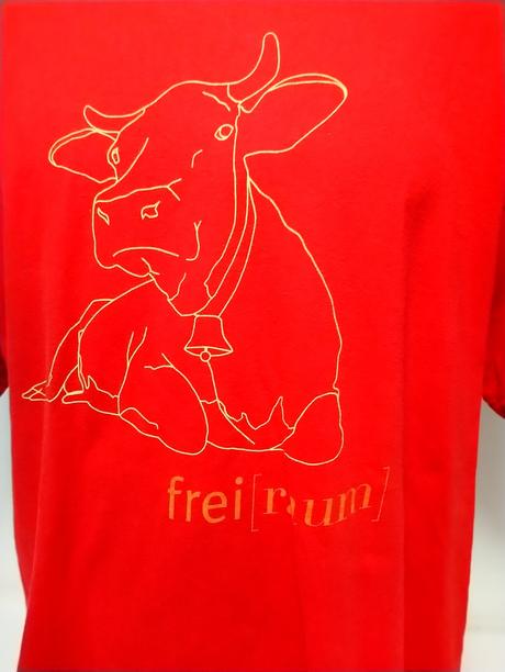 Pánske bavlnené tričko, jerzees, l