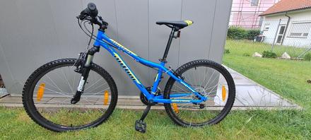 Horský bicykel - junior 24, 24