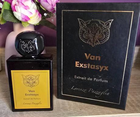 Lorenzo pazzaglia - van extasyx,