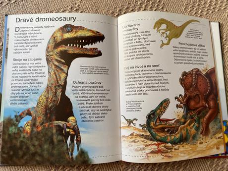 Krásna kniha dinosaury rachel firth,