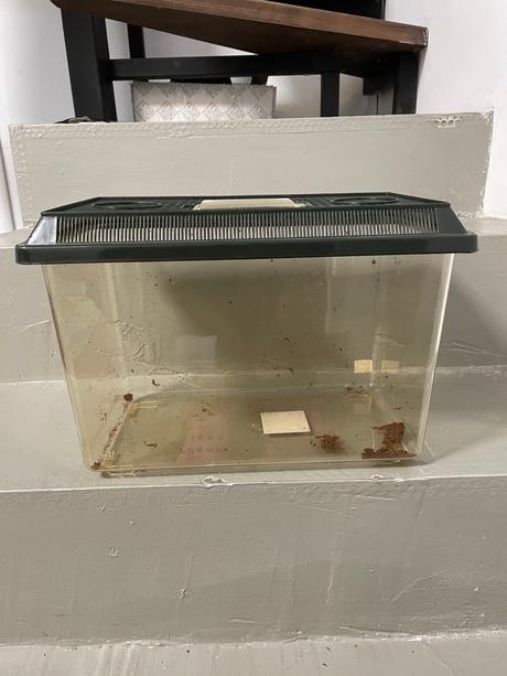 Akvárium pre africké slimáky, 