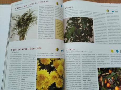 Kniha o rastlinách, 