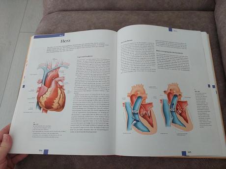 Atlas anatómie - nemecké vydanie, 