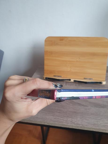 Šípková ruženka disney luxus, 