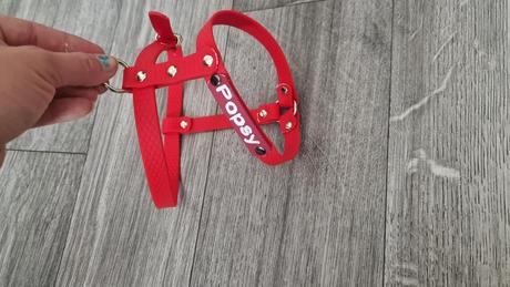 Biothane, hexa postroje na dierky, 