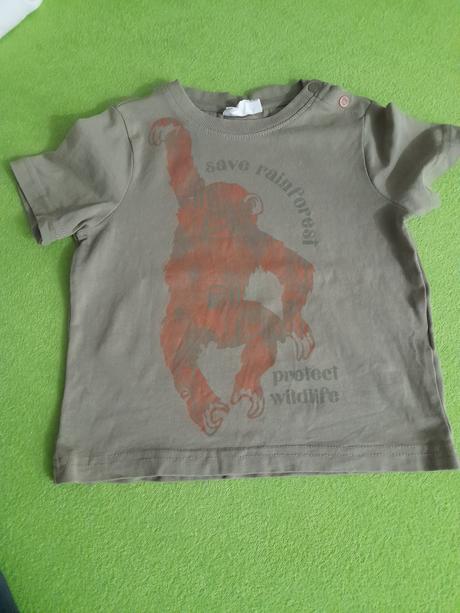 Detské tričko, coccodrillo,92