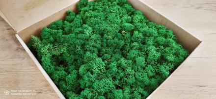 Alpský sobí mach premium - zelená - 100 gramov, 