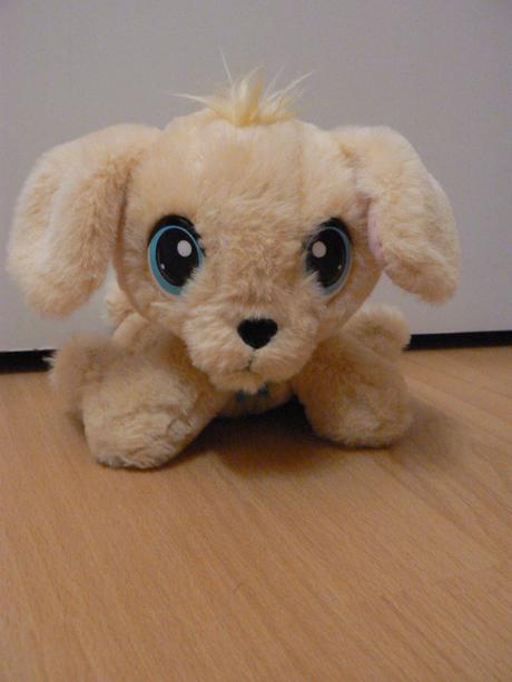 Plyšák psík zlatý retriever s búdou, 