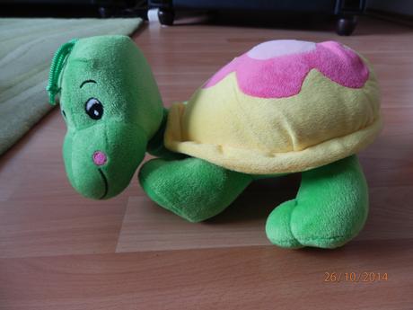 Plyšová korytnačka, 