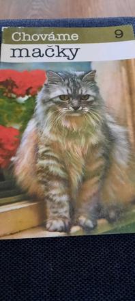 Chováme mačky, 