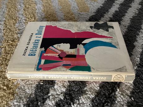 Zuzka zguriška bičianka z doliny (1966),