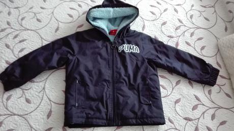 Krasna bundicka, puma,98