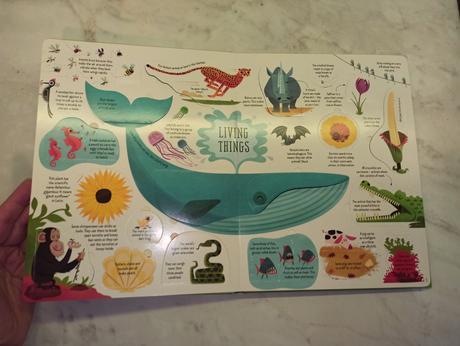 Usborne - lift the flap - general knowledge,