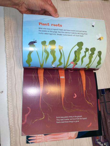 Peeking under bonnet city skin underground jul18,