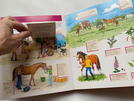 Zvieratá - encyklopédia, hra, knihy, 