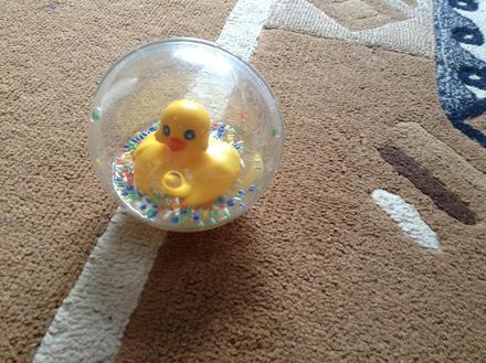 Gulička s kacickou,