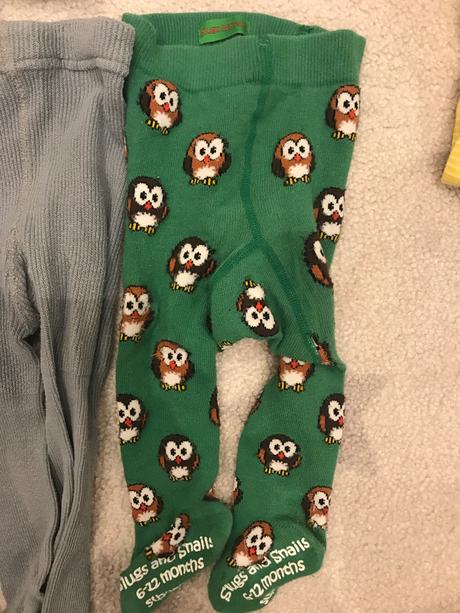 Slugs and snails pancuchy, 74