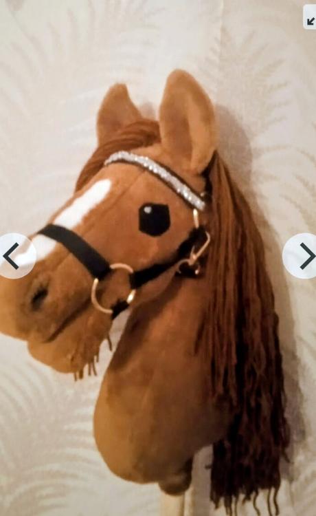 Hobby horse, 