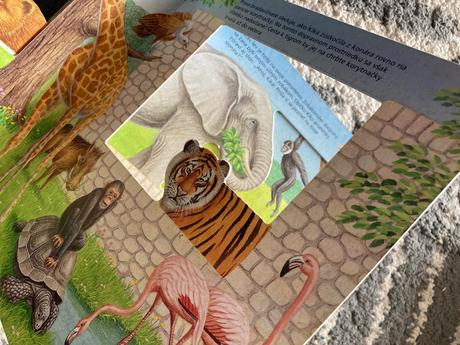 Zvedavá opička kika (2006), 