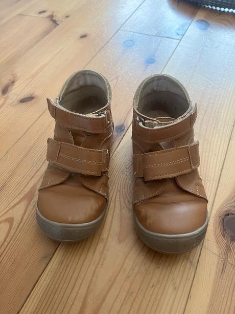 Rak celoročne topanky, rak,27