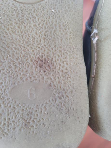 Livie and luca, livie & luca,22