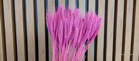 Dekoračné sušené žito - ružové, 