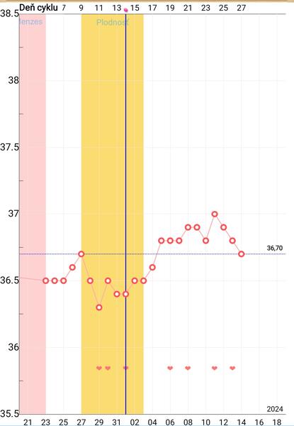 Kedy presne prebieha ovulácia?