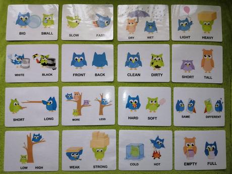 16 ks montessori kartičiek - protiklady sovičky,