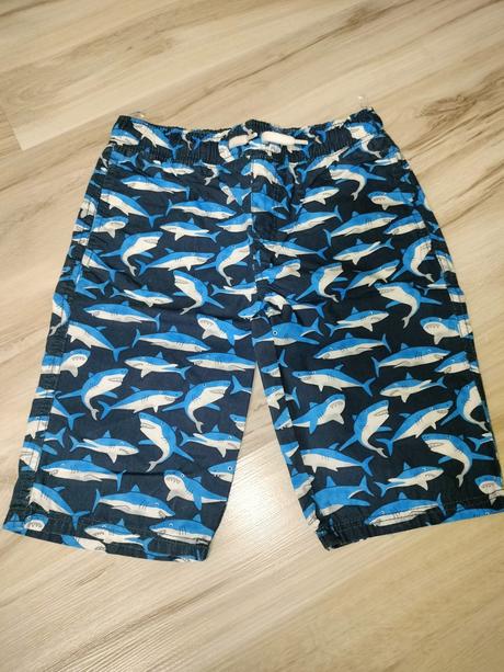 Kratasy, palomino,128