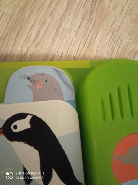 Usborne zvuková  knižka, 