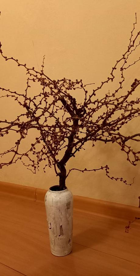 Dekoračný konárik, 