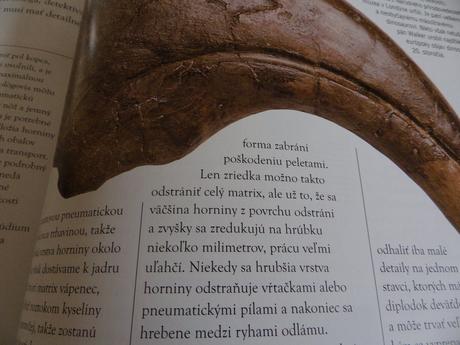 Encyklopédia dinosaury,
