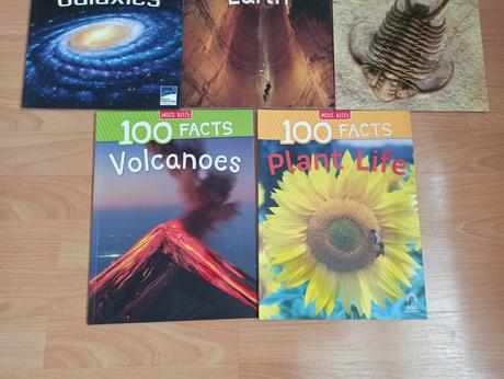 100 facts v anglictine - aj jednotlivo,