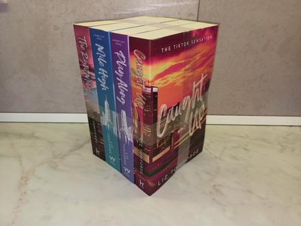 Liz tomforde - windy city series,