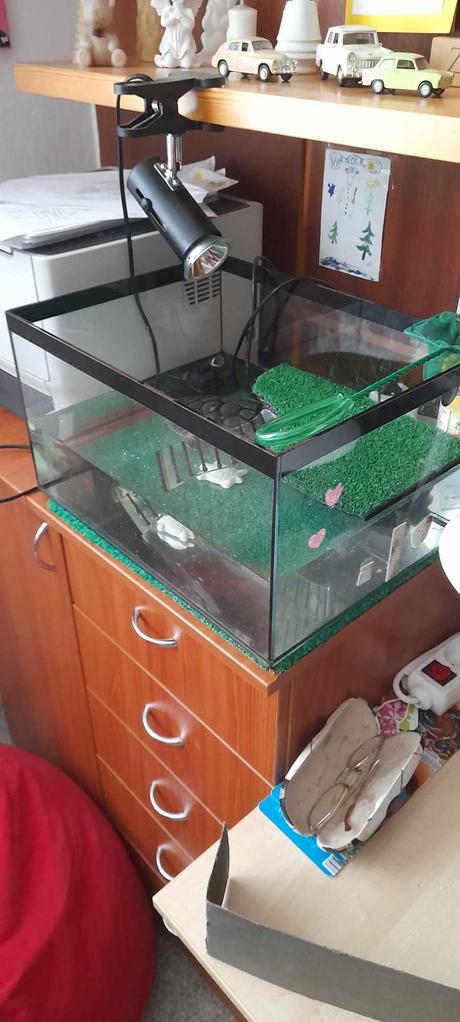 Terarium pre korytnačku, 