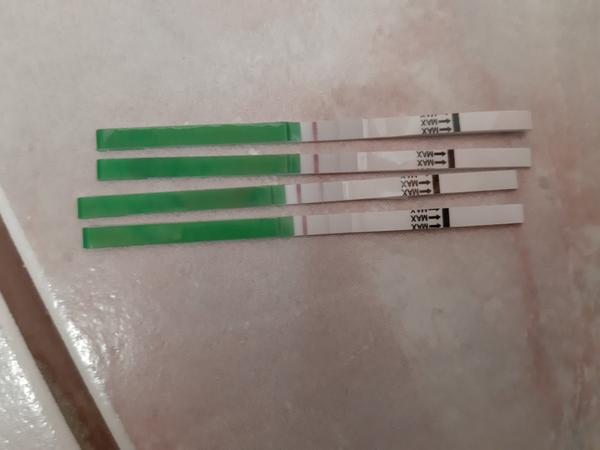 Od 16. dňa cyklu mám negatívne ovulačné testy