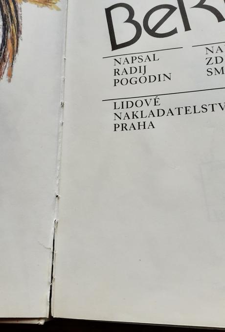 Ferdík a bertík, radij pogodin,