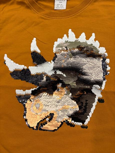 Lindex tričko s dinosaurom na 5-6 rokov, lindex,116