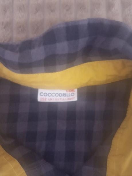 Košeľa károvana, coccodrillo,152