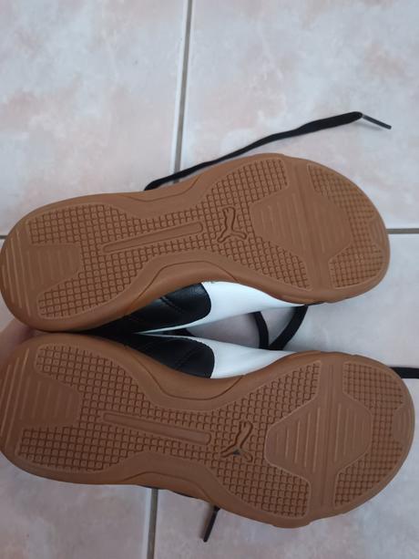 Halovky puma, puma,34