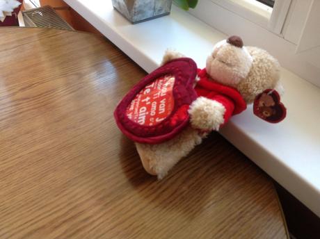 Medveď so srdiečkom pre fotku,