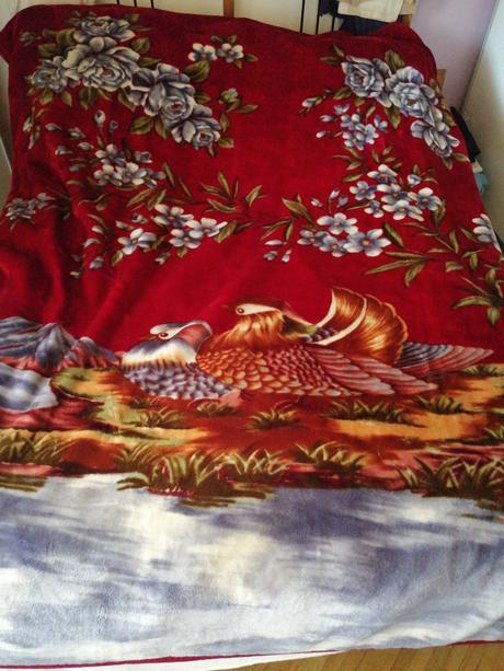 Krasna veľká deka, 